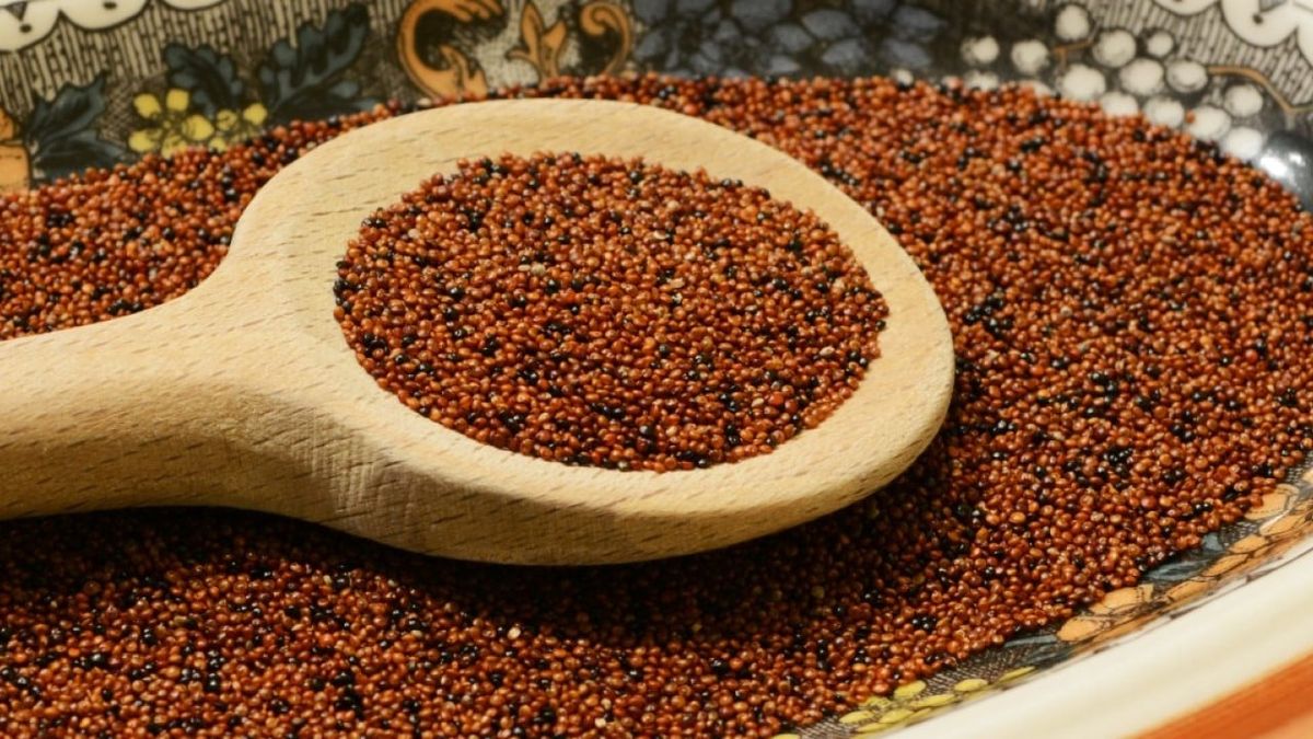 A favor de la memoria y contra el envejecimiento: el cereal ideal para adultos mayores A favor de la memoria y contra el envejecimiento: el cereal ideal para adultos mayores