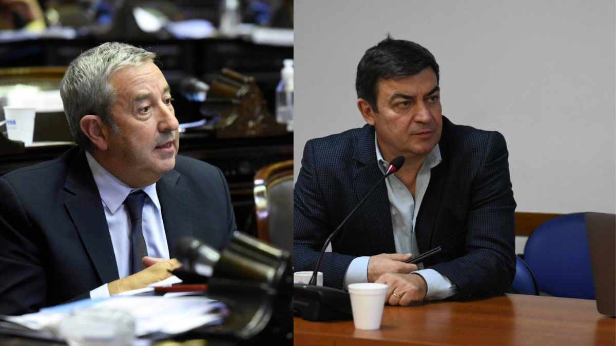 Previamente, los diputados nacionales por Mendoza, Julio Cobos y Omar De Marchi ya habían planteado que Mendoza debía abandonar el COIRCO.