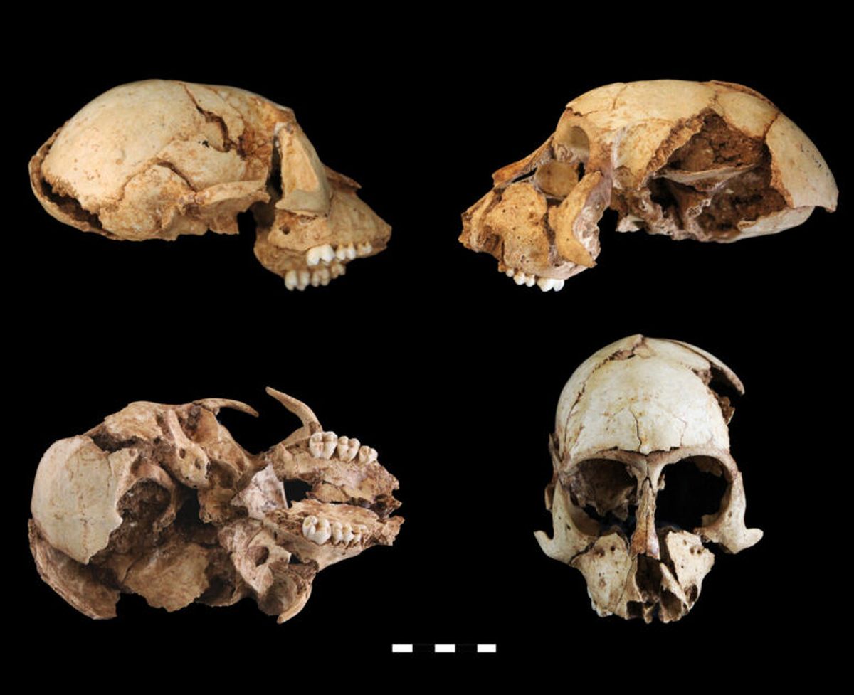 El descubrimiento demuestra las costumbres del Imperio Romano. El descubrimiento demuestra las costumbres del Imperio Romano.