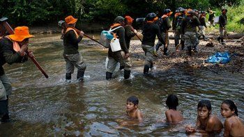 Destruir la planta de la coca es un trabajo agotador para los peruanos