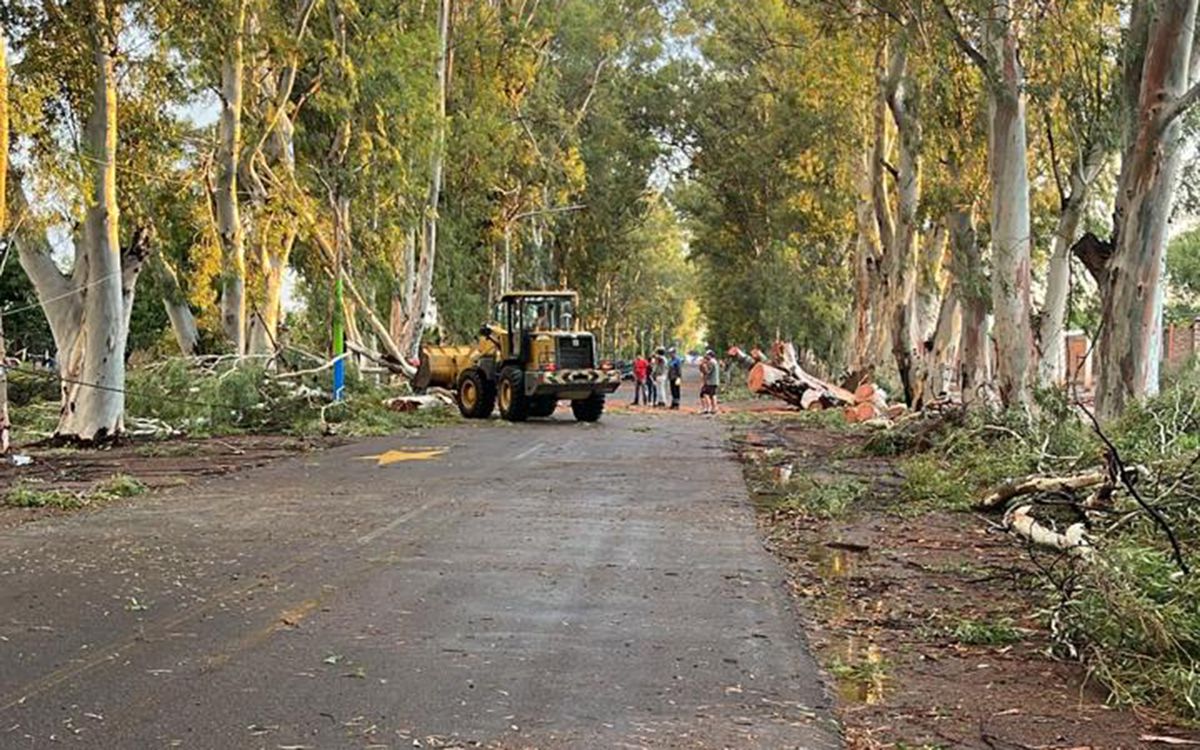 La tormenta dejó más de un centenar de árboles caídos y la voladura de techo de 15 casas en La Paz. 