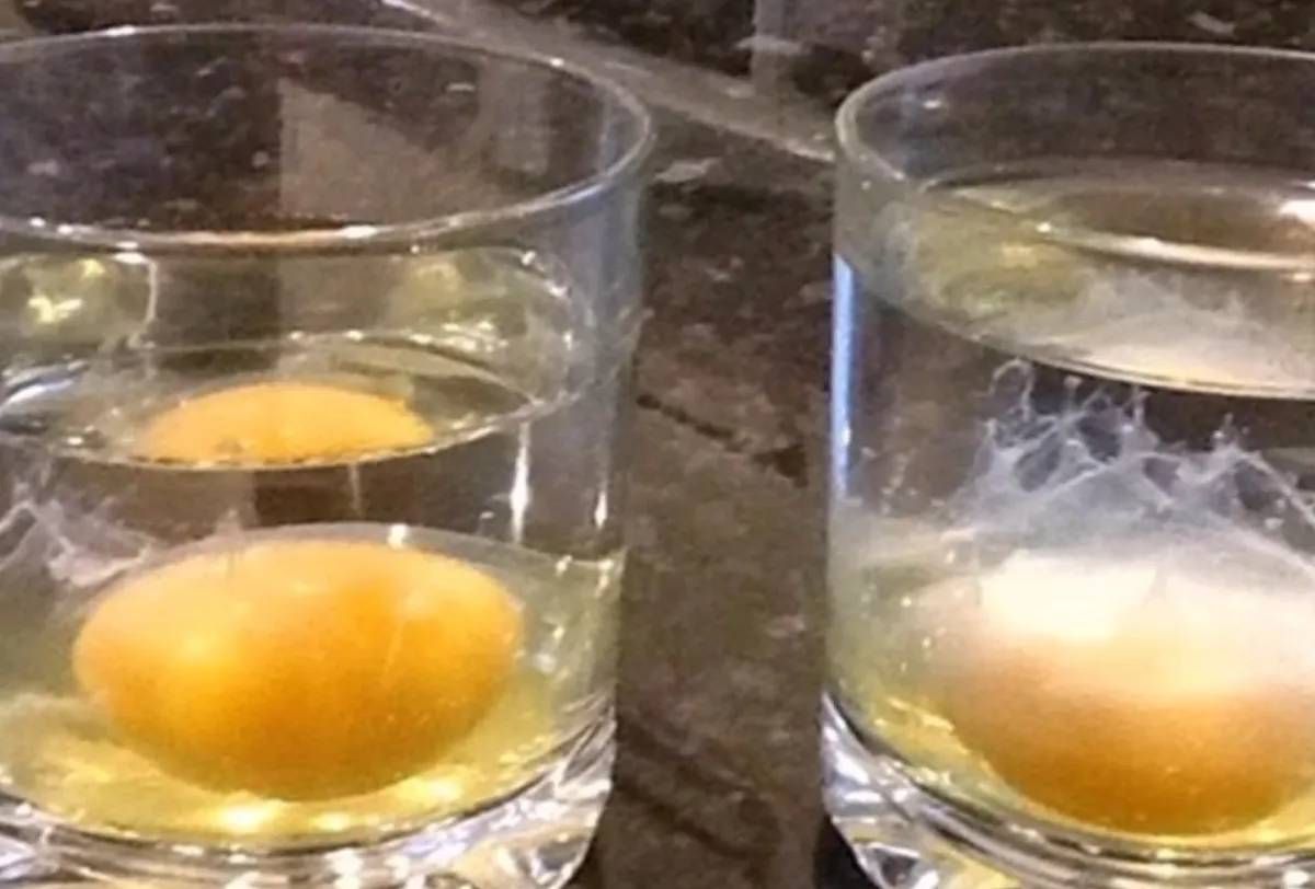 Limpia la energía de tu hogar con el ritual del huevo bajo el agua Limpia la energía de tu hogar con el ritual del huevo bajo el agua