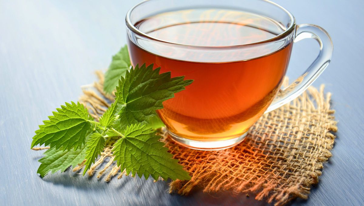 Consumirlo en infusión tiene múltiples beneficios para tu salud. Consumirlo en infusión tiene múltiples beneficios para tu salud.