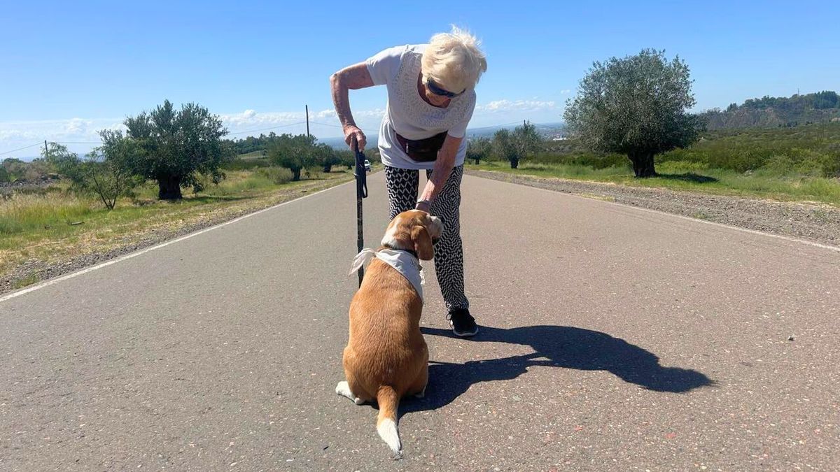Las caminatas de todos los días, siempre bien acompañada. Las caminatas de todos los días, siempre bien acompañada.