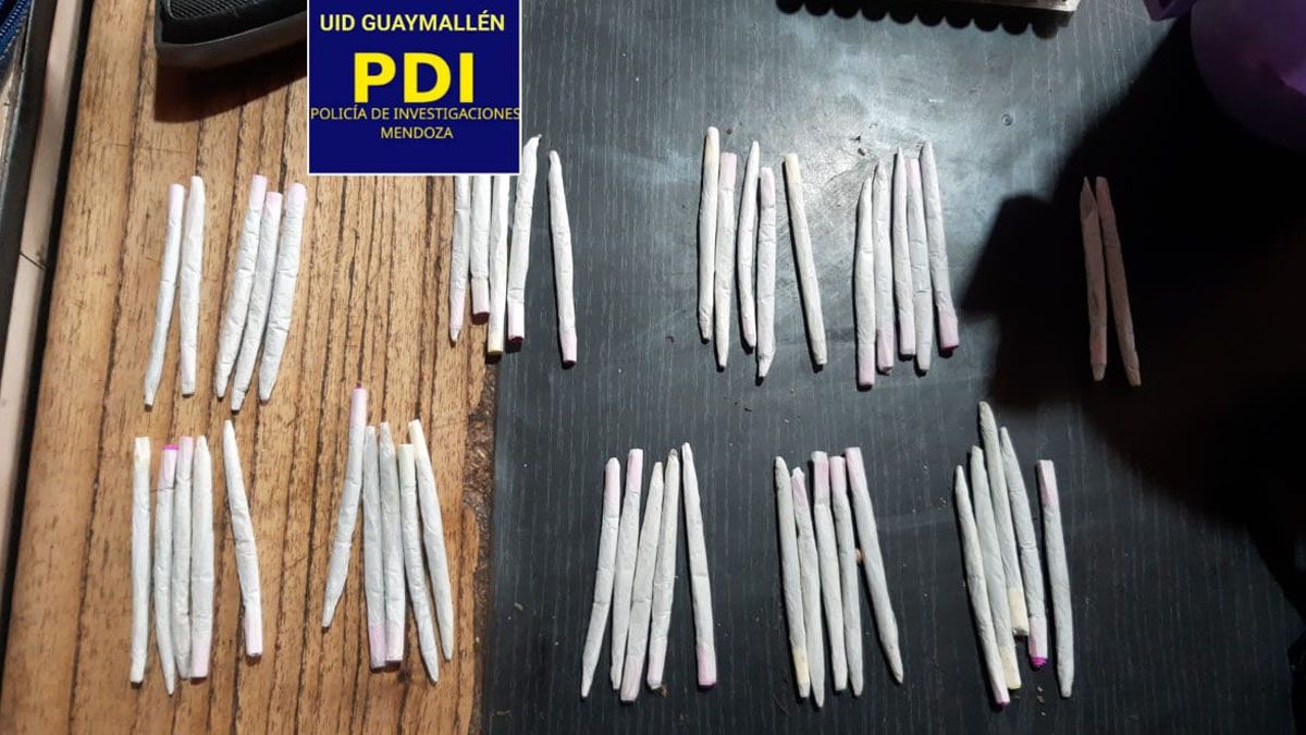 Secuestraron más de 90 porros, además de marihuana compacta y cogollos.