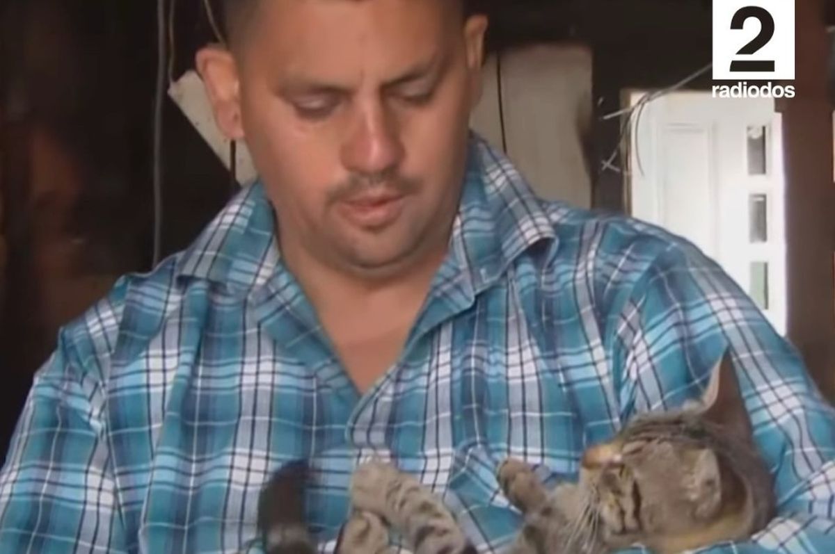 El gato le salvó la vida a su dueño al despertarlo durante un incendio en su casa. El gato le salvó la vida a su dueño al despertarlo durante un incendio en su casa.