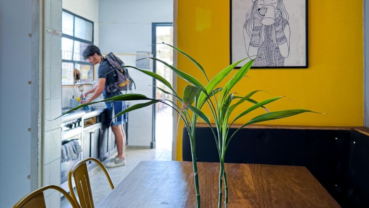 ¿Voluntarios para vivir en Mendoza? La oferta que unhostel hizo a turistas de todo el mundo.