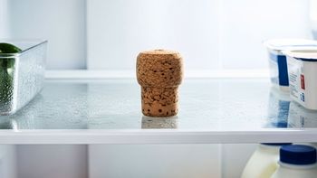 Colocar un corcho en la heladera: por qué recomiendan hacerlo y para qué sirve Colocar un corcho en la heladera: por qué recomiendan hacerlo y para qué sirve