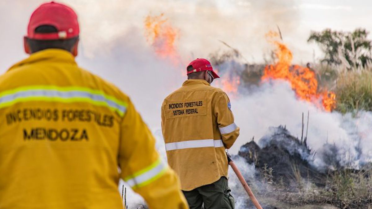 Gran preocupación por posibles incendios forestales y los daños que le causa al ambiente y al ecosistema.