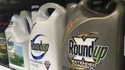 Nueva etapa en el histórico juicio a Monsanto por un herbicida