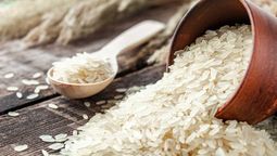 Quiénes y por qué no deberían comer arroz según Harvard