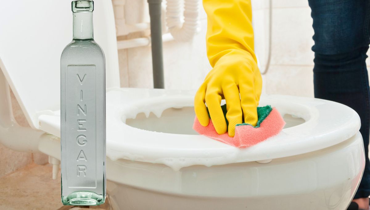 Cómo realizar una limpieza profunda del baño usando solo vinagre blanco