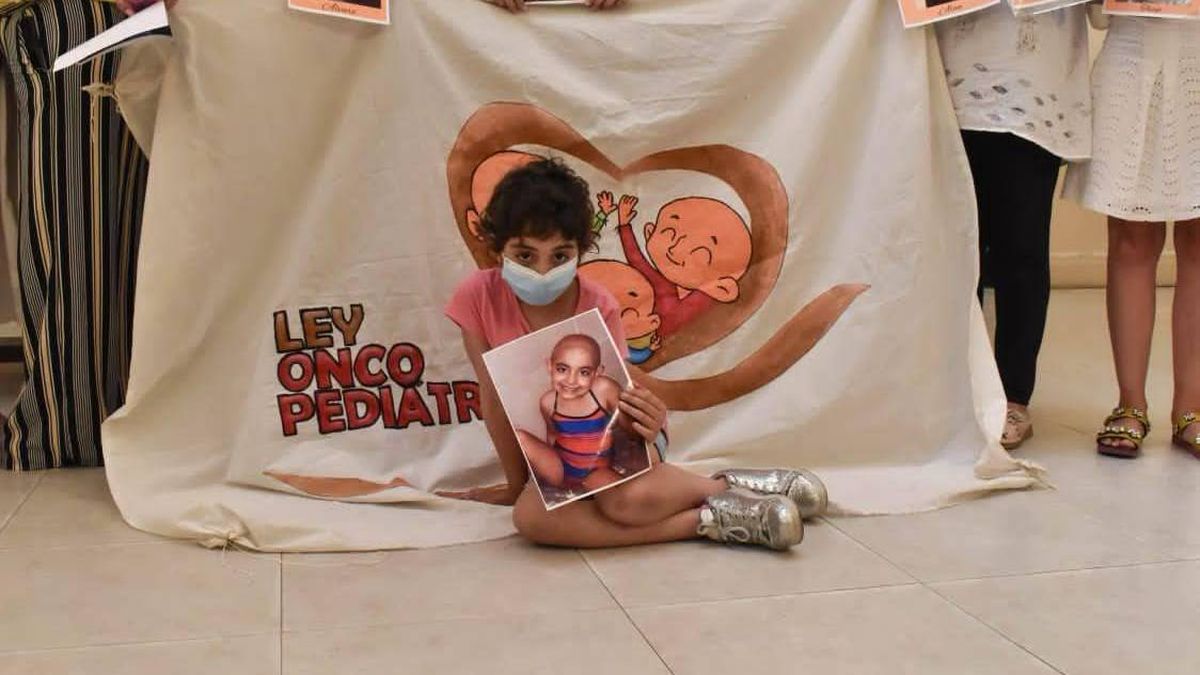 Luana, en pleno tratamiento contra el cáncer, años atrás. Exhibió su propia imagen y apoyó la ley oncopediátrica. Luana, en pleno tratamiento contra el cáncer, años atrás. Exhibió su propia imagen y apoyó la ley oncopediátrica.