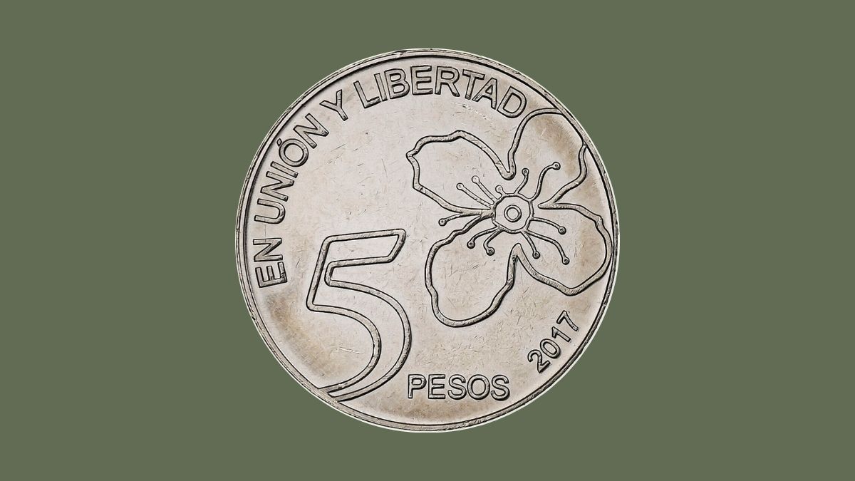 Monedas y billetes
