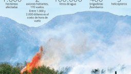Los animales bajan del Cerro Arco por falta de comida