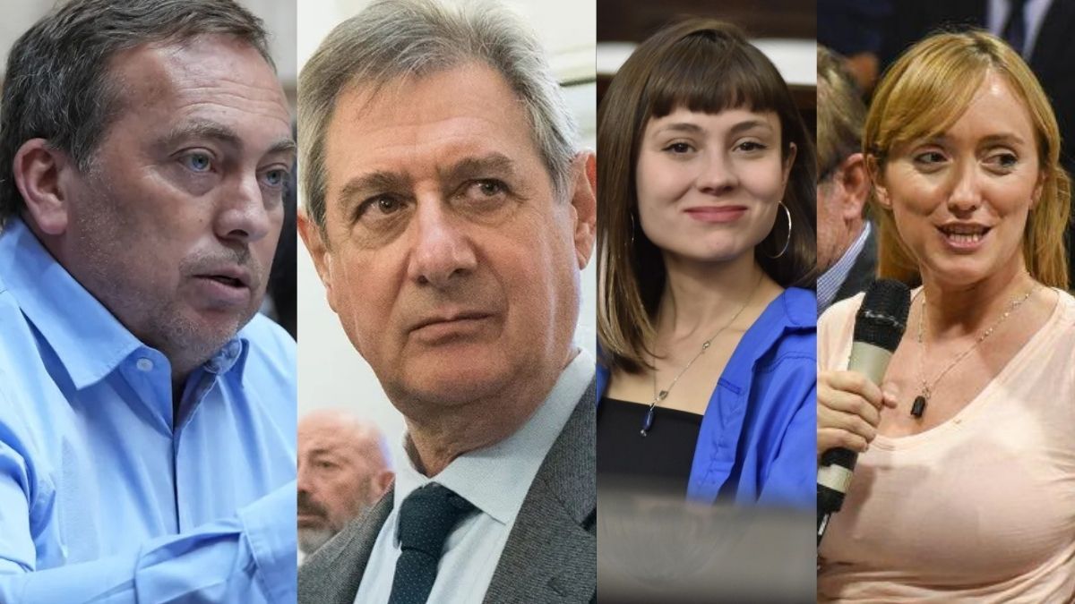 De izquierda a derecha: Martín Aveiro, Omar Félix, Valentina Morán y Anabel Fernández Sagasti. Los cuatro acompañarán a Cristina Kirchner para conducir el PJ.