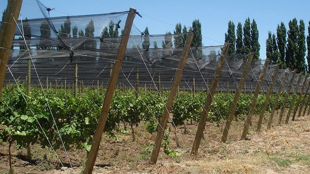 Desde el Ministerio de Producción se impulsa que los productores accedan al seguro agrícola, más allá de las líneas de créditos que lanzó.