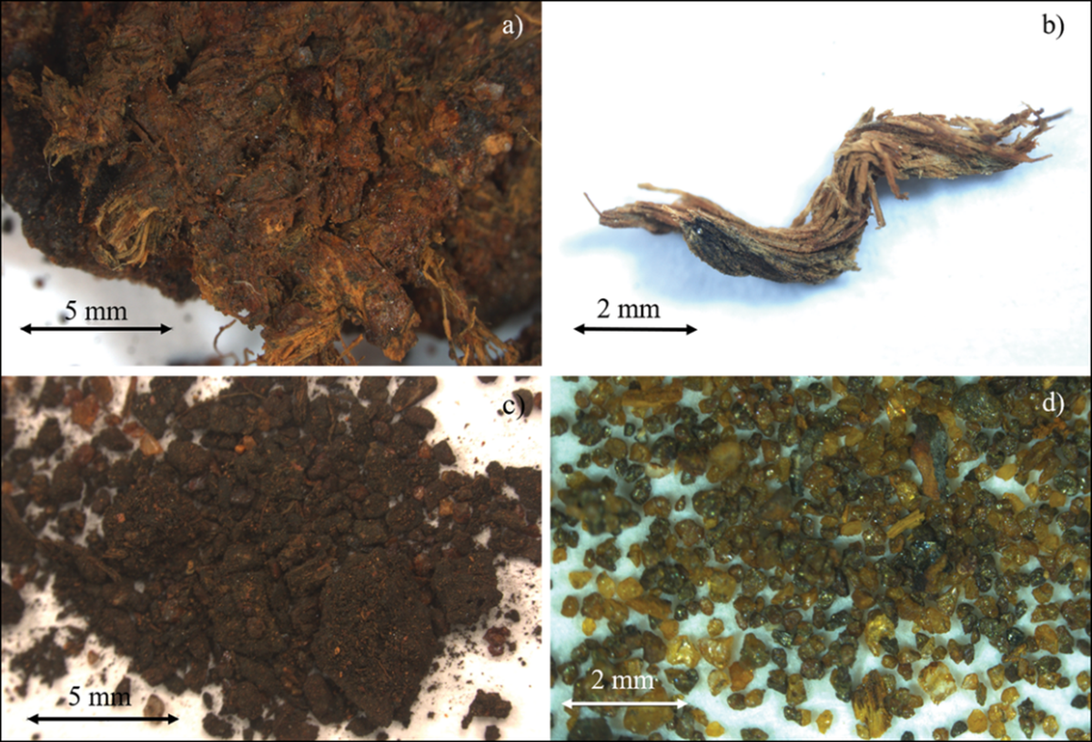 Los fragmentos de tela le revelaron la verdad sobre el descubrimiento a los investigadores. Imagen: Frallicciardi M, et al. Los fragmentos de tela le revelaron la verdad sobre el descubrimiento a los investigadores. Imagen: Frallicciardi M, et al.