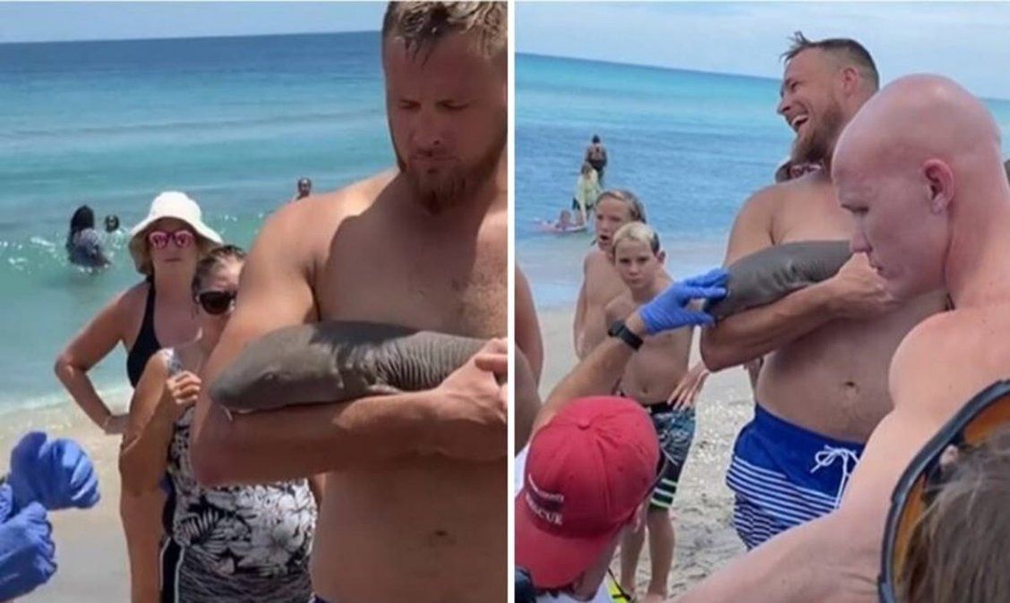 Tiburón. Una especie de tiburón mordió el brazo de un turista. 