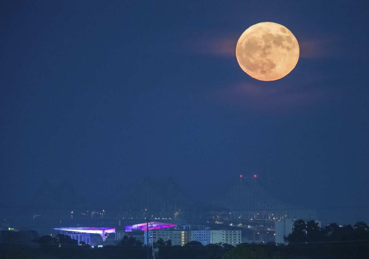 Cuál es la mejor hora para observar la Luna del Castor en el cielo nocturno Cuál es la mejor hora para observar la Luna del Castor en el cielo nocturno