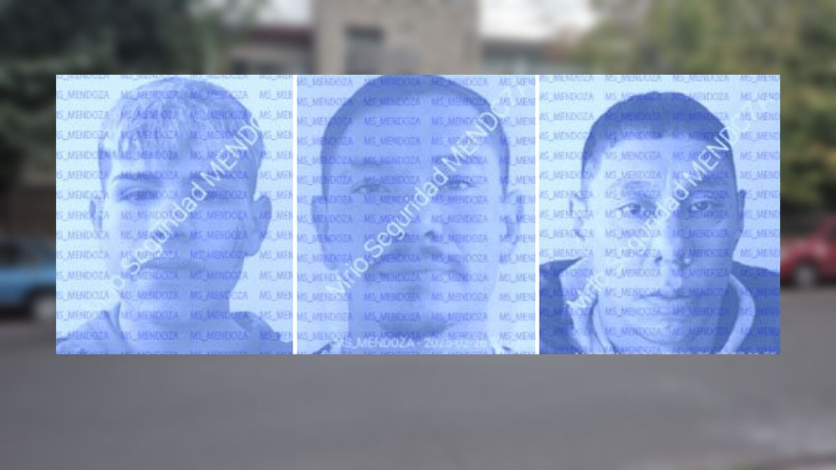 Los tres delincuentes que escaparon por un boquete de la Comisaría 25