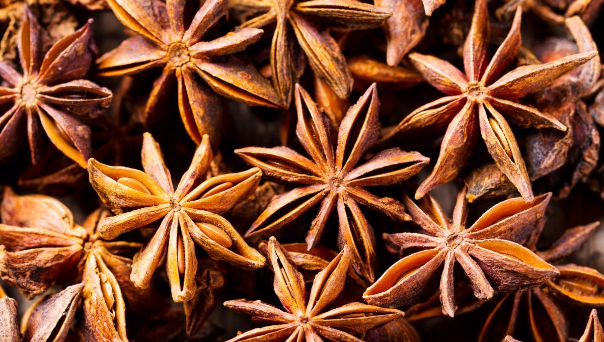 Para preparar este tónico solo necesitarás 10 piezas de anís estrellado.  Para preparar este tónico solo necesitarás 10 piezas de anís estrellado. 
