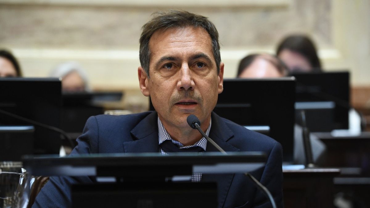 El titular del interbloque de Juntos por el Cambio en el Senado, el formoseño Luis Naidenoff.
