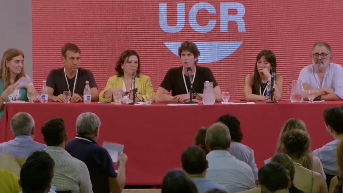 Martín Lousteau lidera la Convención Nacional de la UCR.