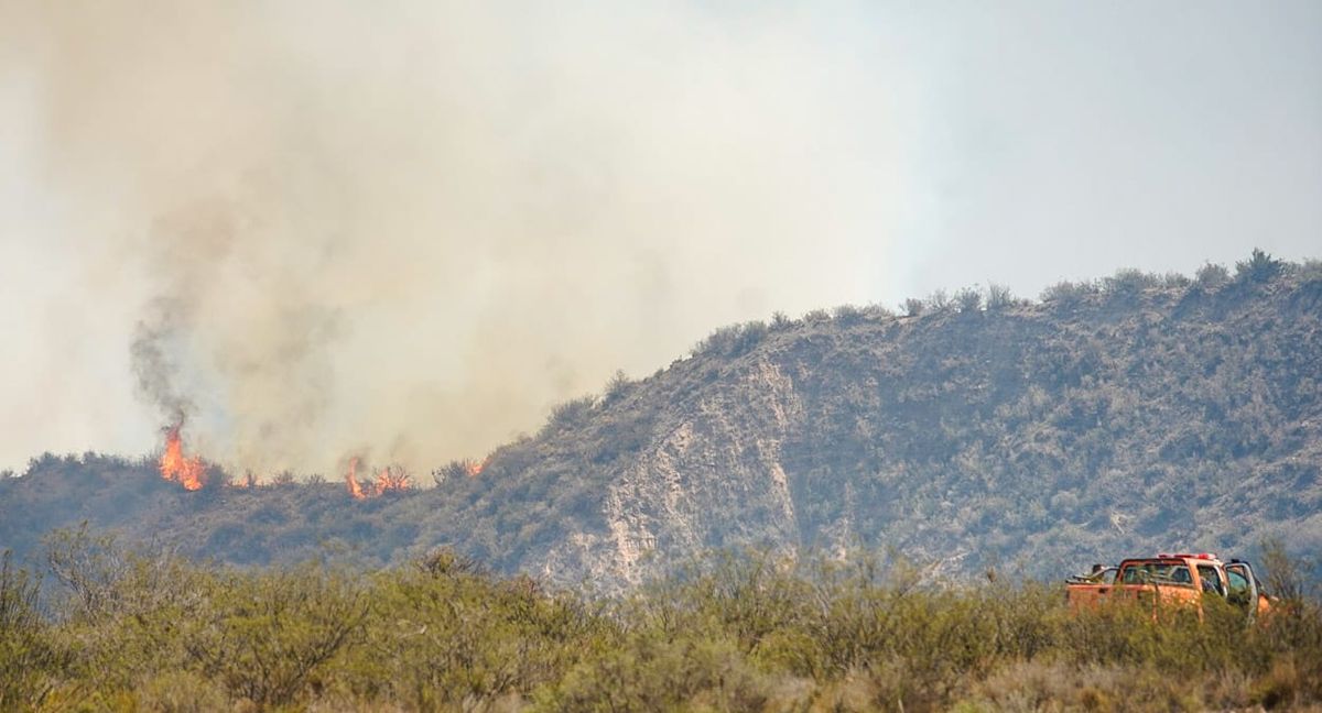 Impresionates imágenes del fuego en la zona pedemontana.