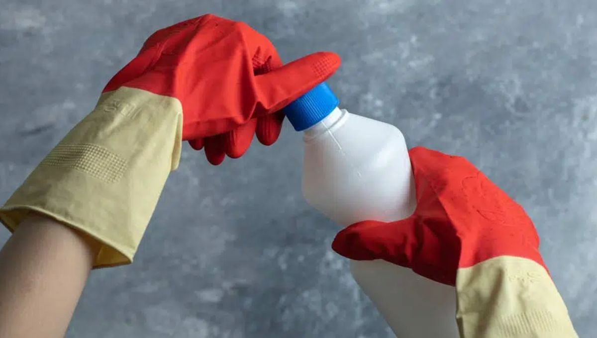 El cloro no debe ser utilizado en las plantas, ya que es un agente muy fuerte. El cloro no debe ser utilizado en las plantas, ya que es un agente muy fuerte.