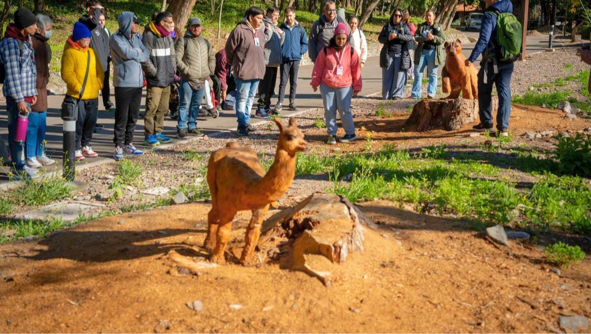 En el Ecoparque hay más de 1.000 animales, pero las visitas no incluyen la exhibición de los mismos. En el Ecoparque hay más de 1.000 animales, pero las visitas no incluyen la exhibición de los mismos.