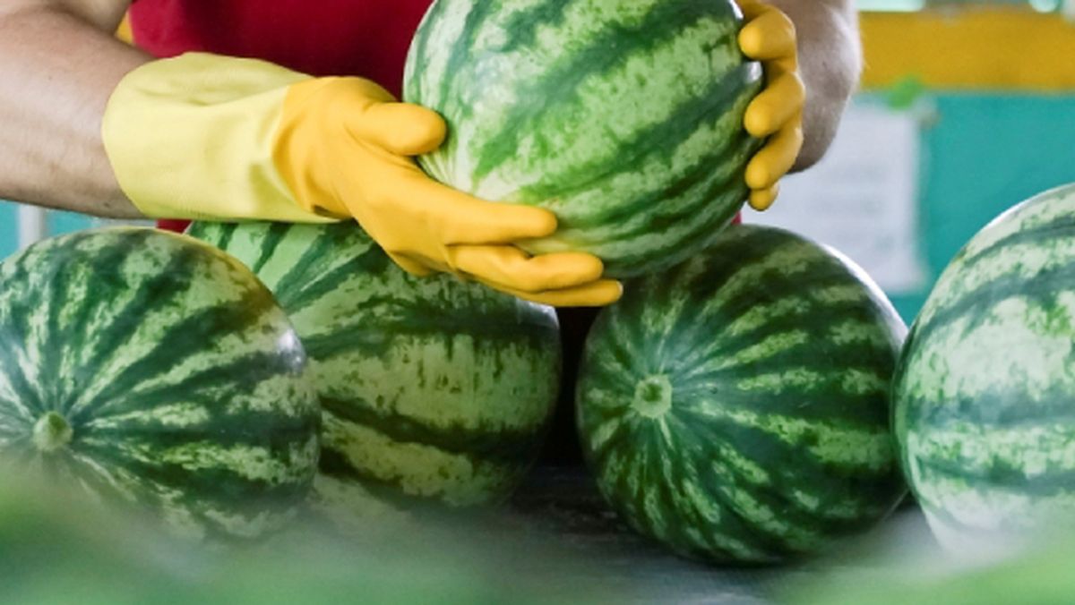 Elegir sandías sin brillo es un truco poco conocido y súper eficiente.