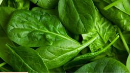 El poderoso vegetal que tiene vitamina C y previene la caída del cabello