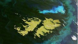 Más de cien: cuántas islas conforman las islas Malvinas