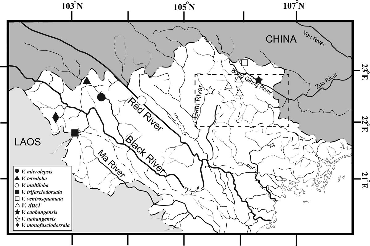 Por ahora, sólo se encontraron especímenes de esta especie en una región remota de Vietnam. Por ahora, sólo se encontraron especímenes de esta especie en una región remota de Vietnam.