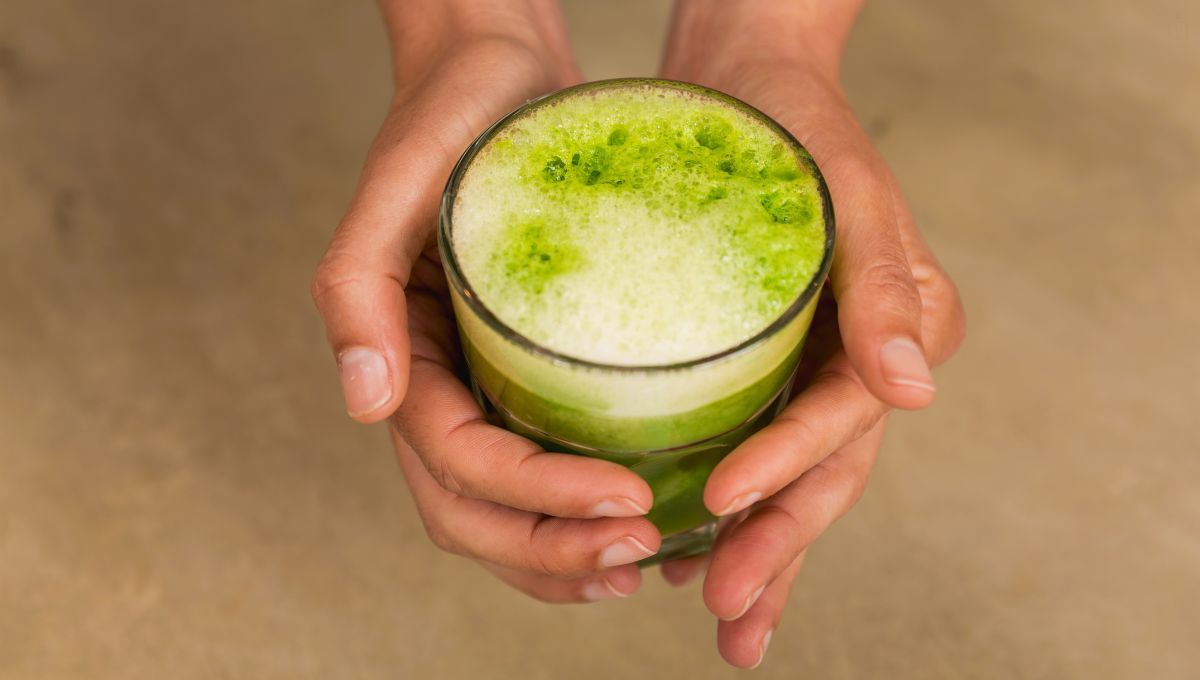 La hierba aromática que elimina toxinas en todo el cuerpo