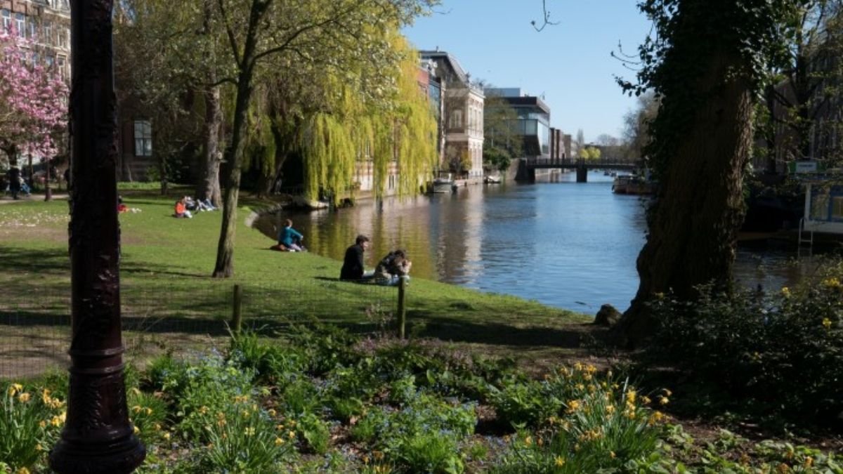 Foto: Unsplash Foto: Unsplash