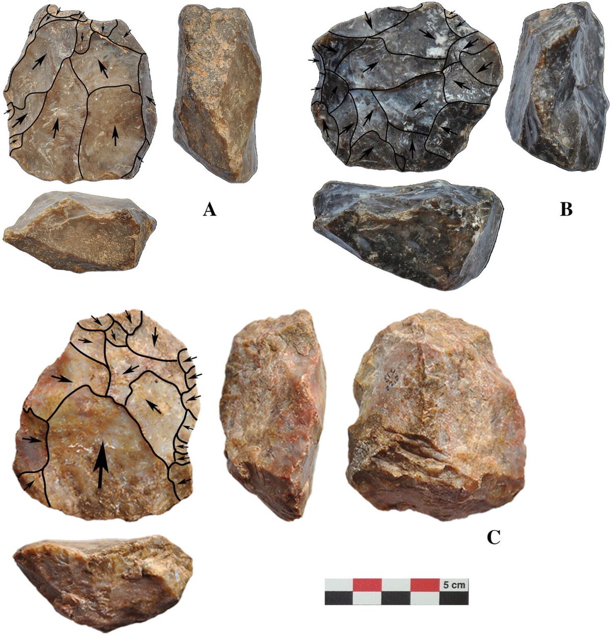 Estas herramientas reflejan conexiones culturales entre distintas regiones. Estas herramientas reflejan conexiones culturales entre distintas regiones.