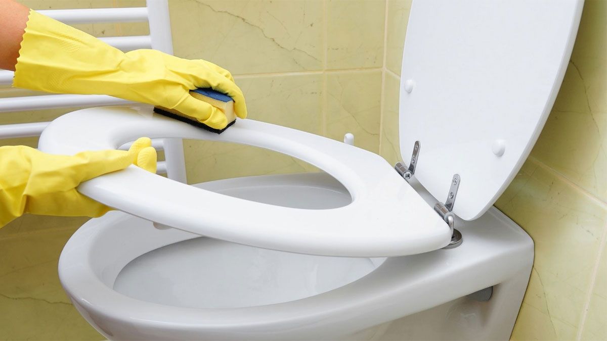 Limpiar el inodoro es una tarea esencial que hay que realizar en la casa. Limpiar el inodoro es una tarea esencial que hay que realizar en la casa.