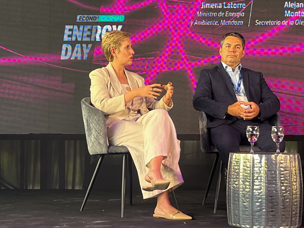 La ministra de Energía y Ambiente La ministra de Energía y Ambiente