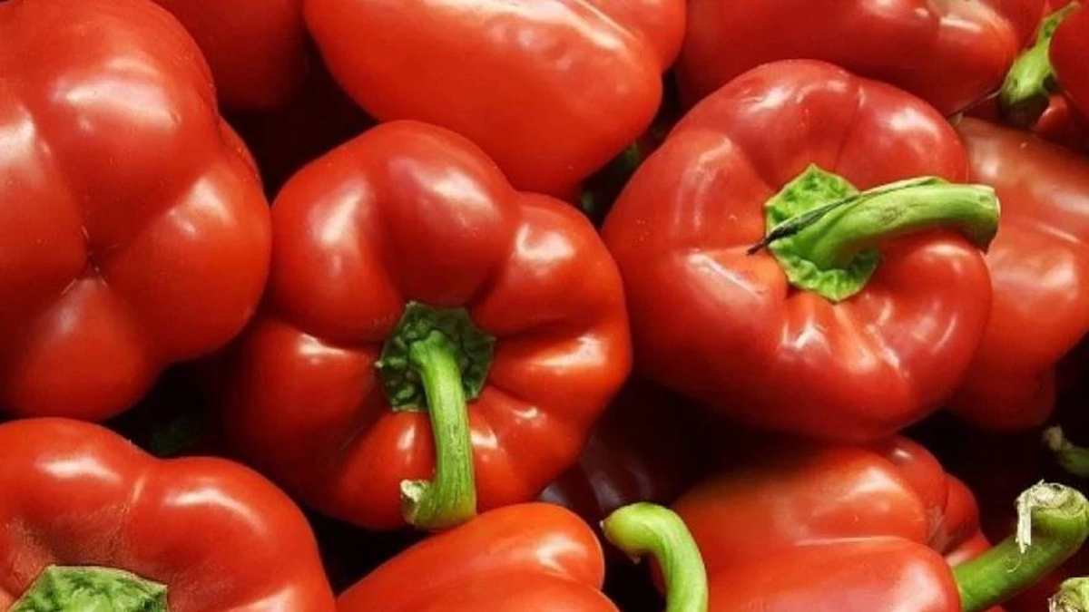 Fuente de vitamina C. Los pimientos son muy buenos para la salud por su gran cantidad de beneficios.