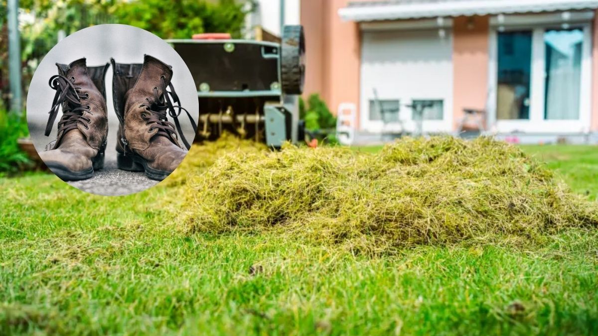 Cómo airear el césped de tu jardín usando zapatos viejos: el secreto de ...