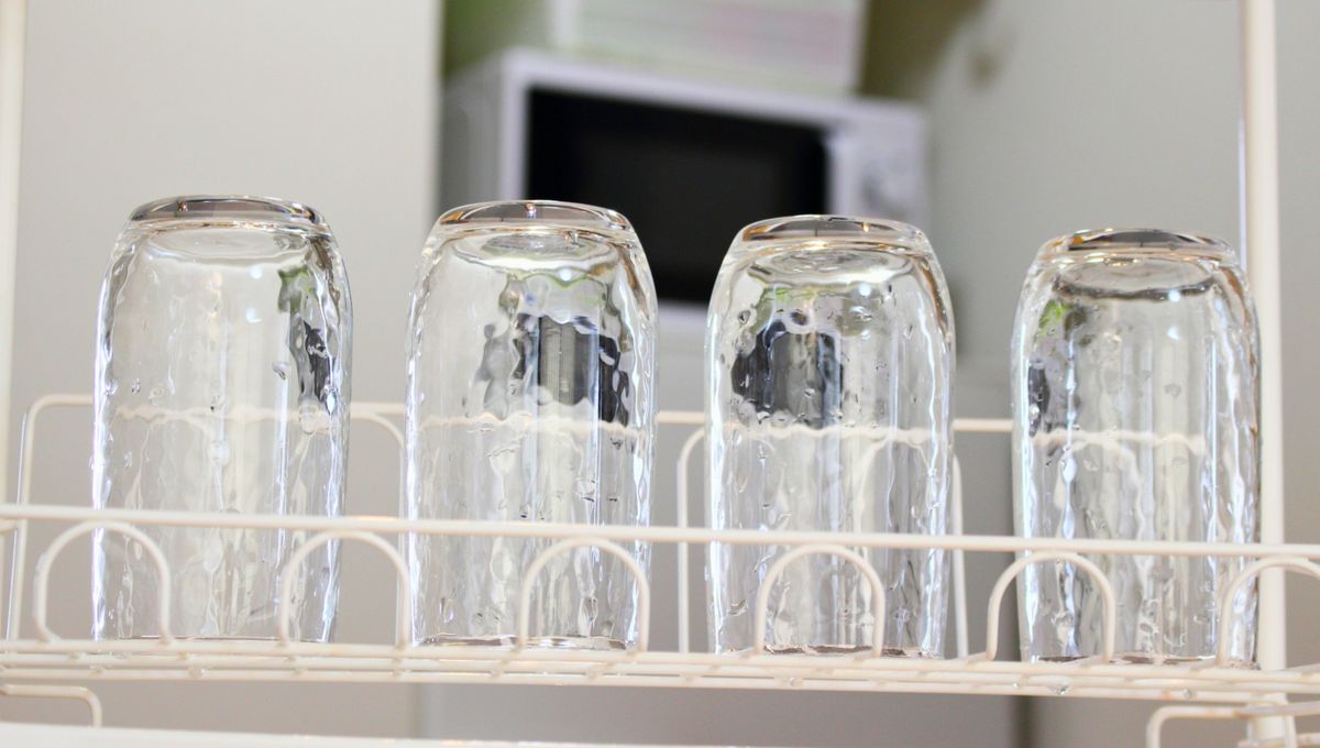 Si no circula el aire a través de los vasos, las bacterias pueden encontrar un buen lugar para desarrollarse. Si no circula el aire a través de los vasos, las bacterias pueden encontrar un buen lugar para desarrollarse. 