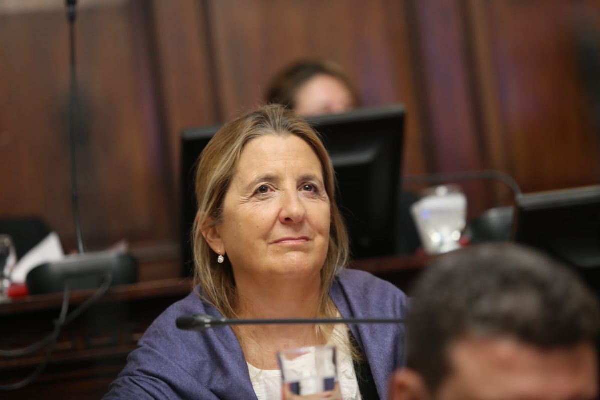 Claudia Najul, senadora provincial de la UCR.