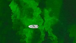 Por unas horas el río de Chicago estará verde.