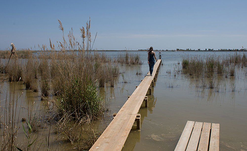 Los productores advierten que el Delta se está muriendo