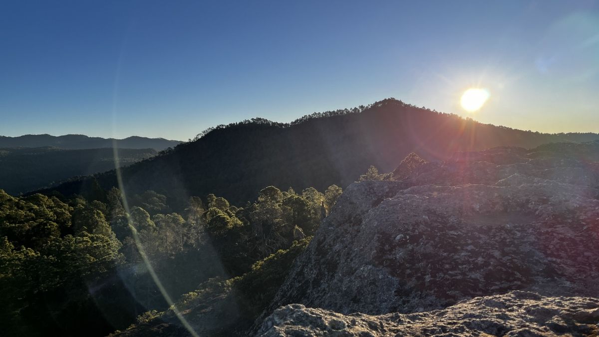 Biodiversidad: Sierra Norte de Oaxaca, México. (Foto: Juan Mayorga)