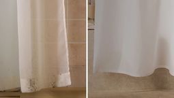 Chau a los hongos: el truco casero para quitar el moho de la cortina de baño sin esfuerzo