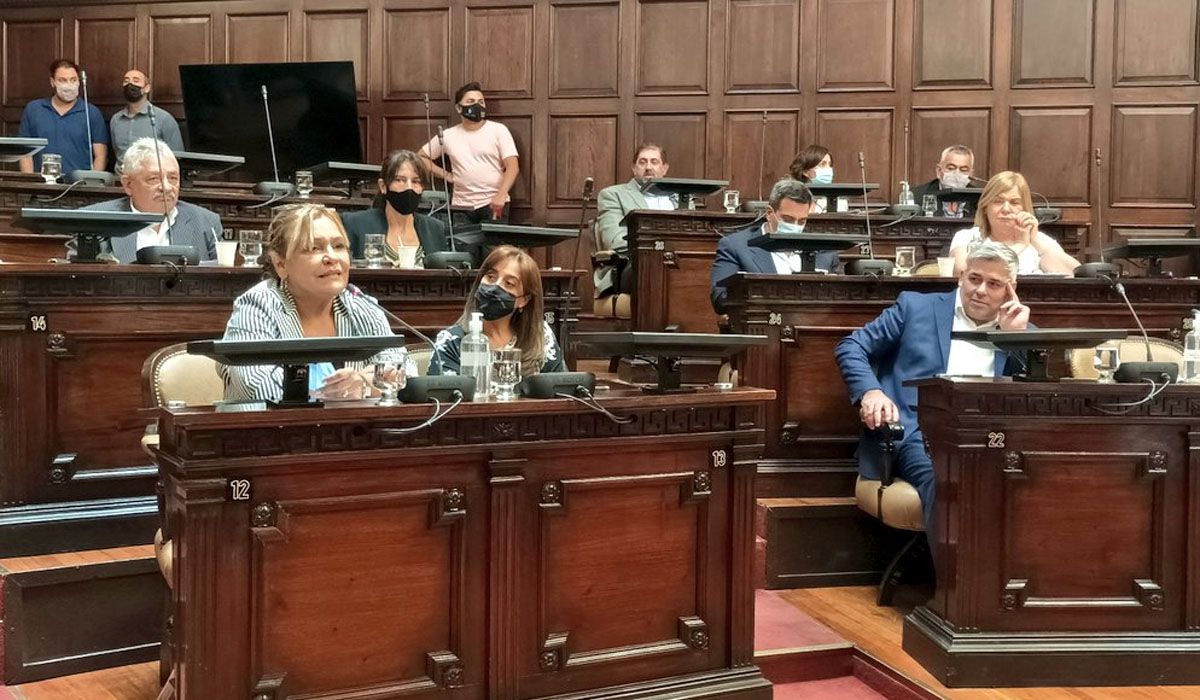 Durante su tratamiento se produjo un ida y vuelta con el diputado Cairo, quien decidió no acompañar el proyecto