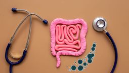 Señales que anuncia el cuerpo cuando tus intestinos tienen hongos: cómo actuar